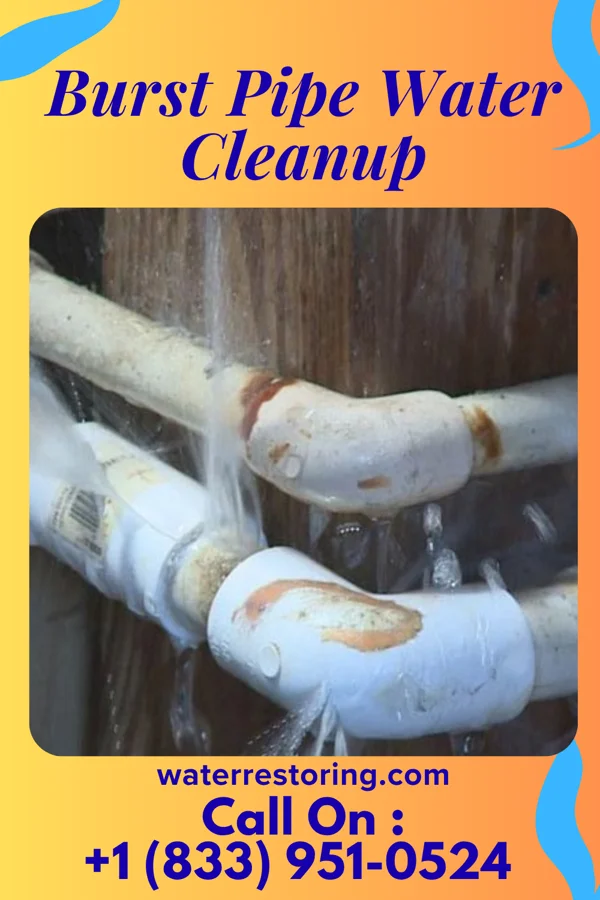 Burst Pipe Water Cleanup in Smoaks, SC