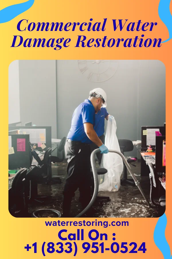 Commercial Water Damage Restoration in Smoaks, SC