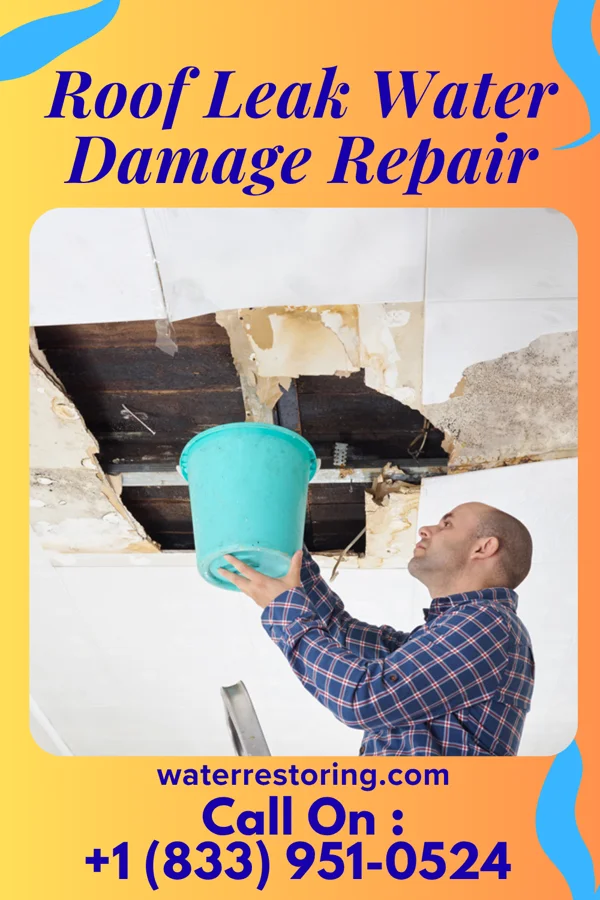 Roof Leak Water Damage Repair in Smoaks, SC