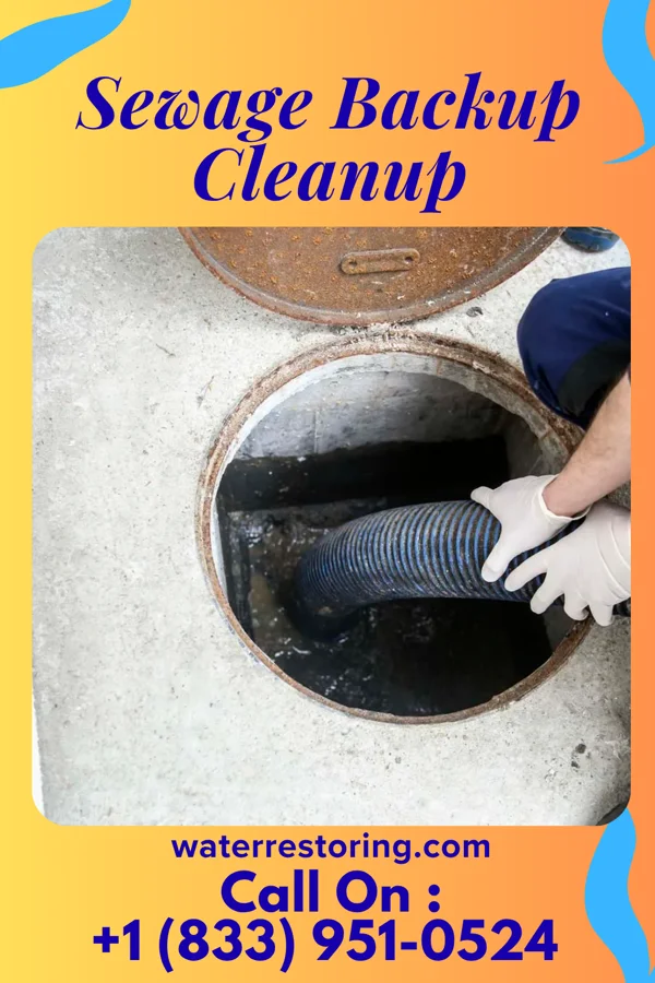 Sewage Backup Cleanup in Smoaks, SC