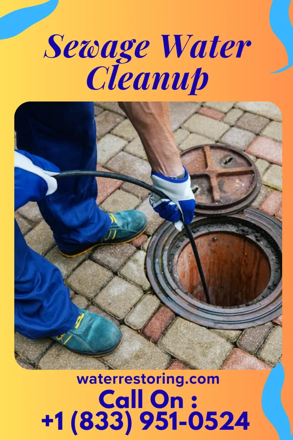 Sewage Water Cleanup in Smoaks, SC